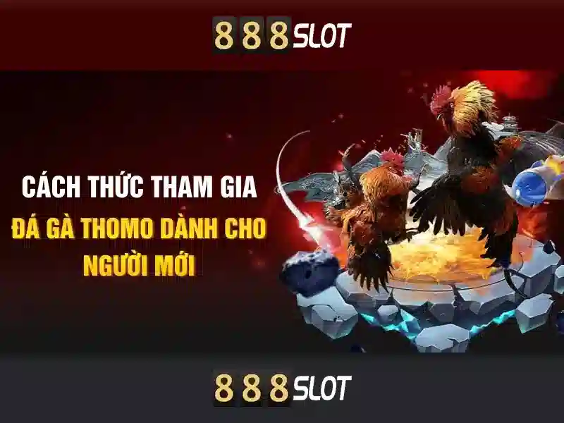 Chương Trình Khuyến Mãi 888SLOT