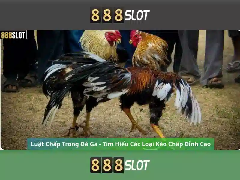 Khuyến mãi Slot 888slot dewa