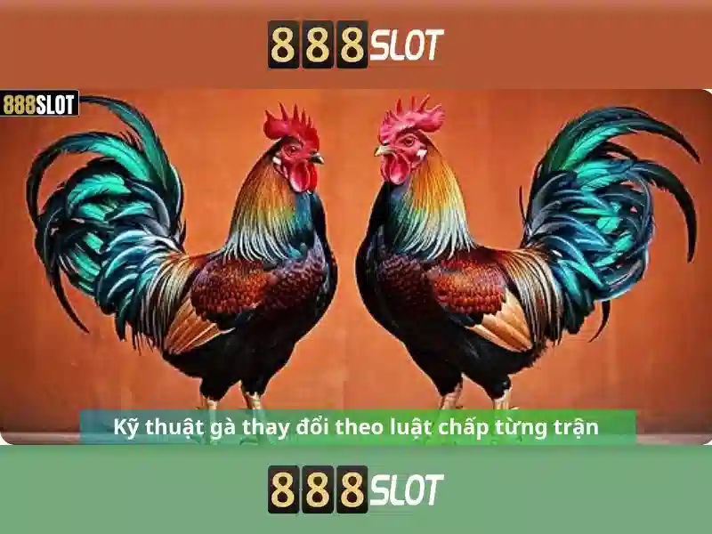 Trải nghiệm Slot đỉnh cao 888SLOT