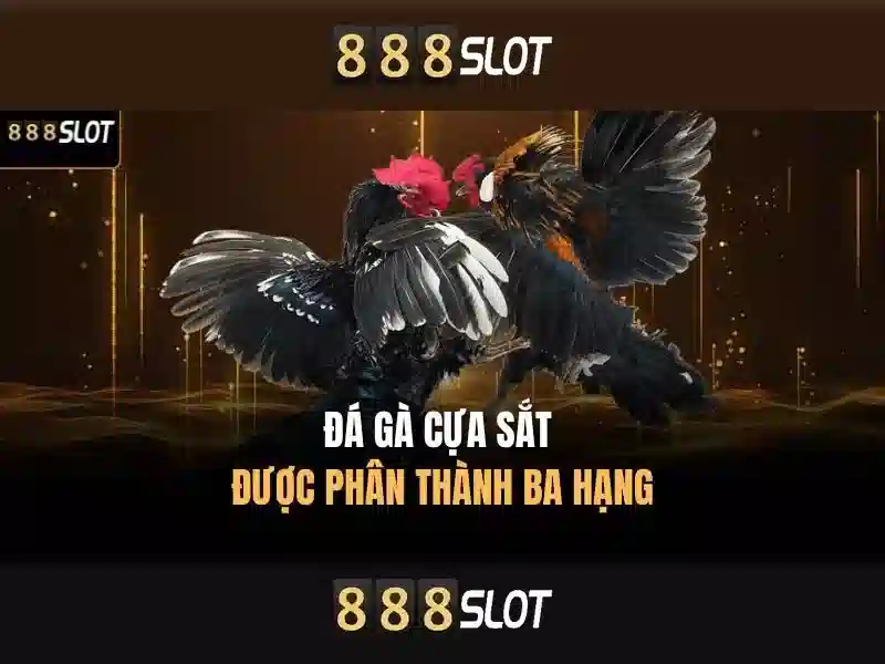 Khuyến mãi slot 888 slot com