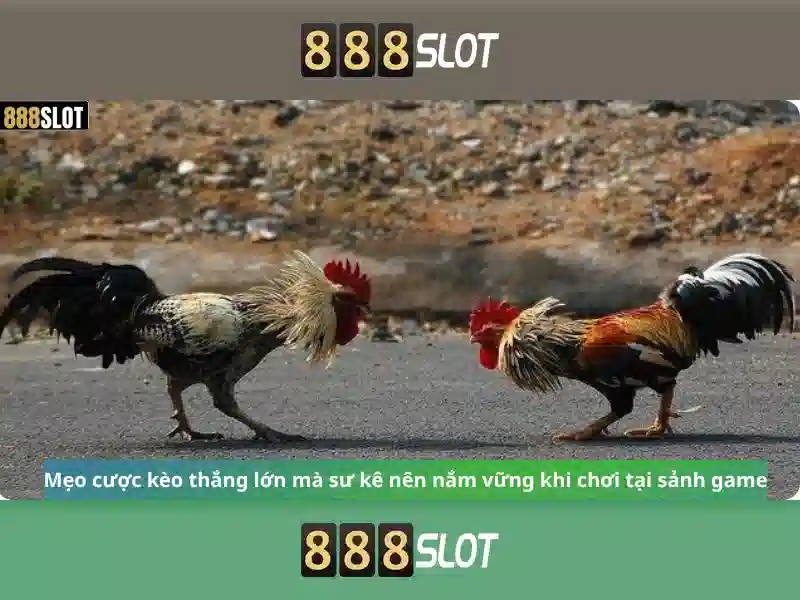 Trải nghiệm slot 888SLOT 2026