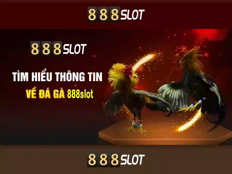 888 Slot 77 An Toàn Bảo Mật