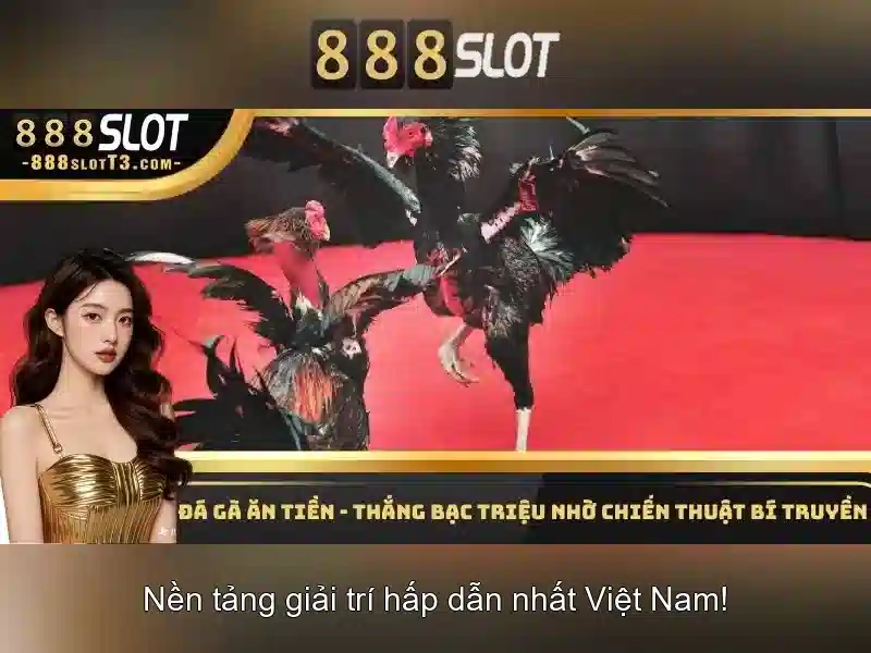 Tại Sao Nên Chọn 888SLOT