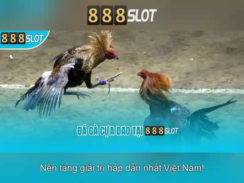 888slot freebet – Ưu đãi cho thành viên mới