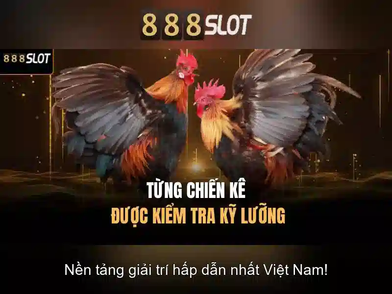Tải app 888 slot nhận thưởng hấp dẫn